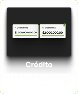 Frame 1000002700-2 Frame 1000002700-2